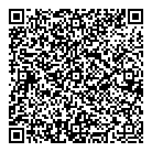 QR код "Laser Strike"