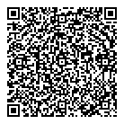 QR код "DNS"
