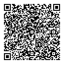 QR код "Вспышка"