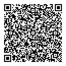 QR код "Молния"