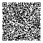 QR код "Professional qyality"