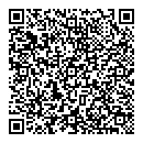 QR код "Вулкан"