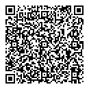 QR код "Анис"