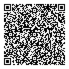 QR код "Профессионал"