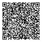 QR код "ДИИП 2000"