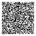 QR код "СТФ ДВТ"